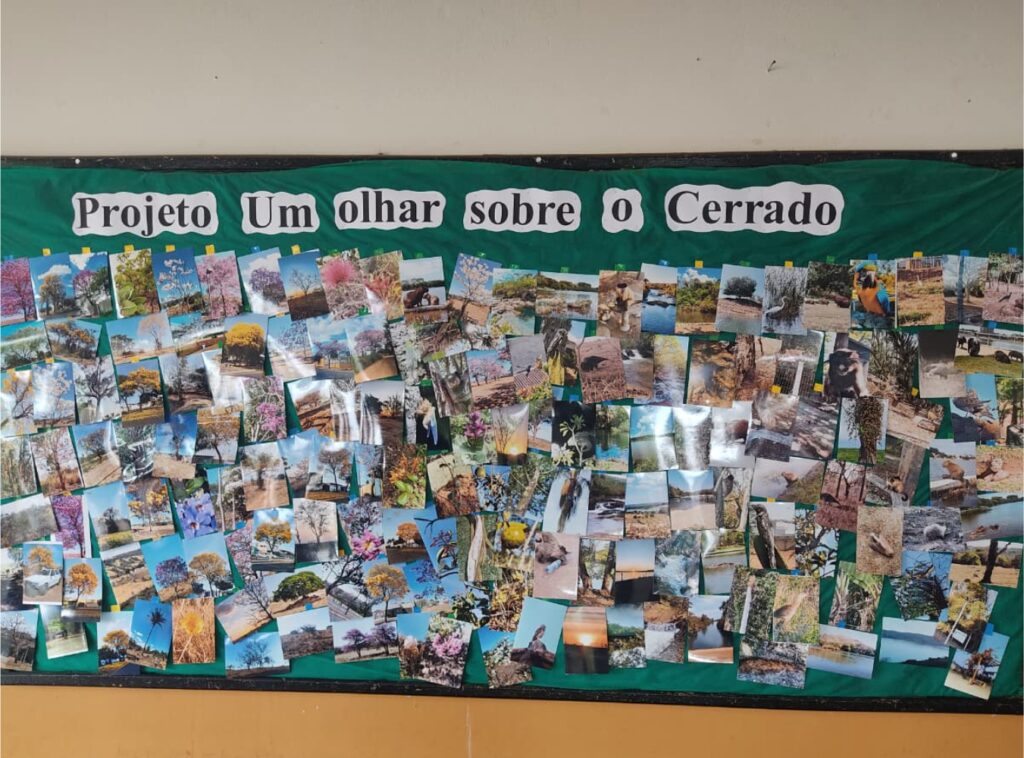 olhas sobre o cerrado