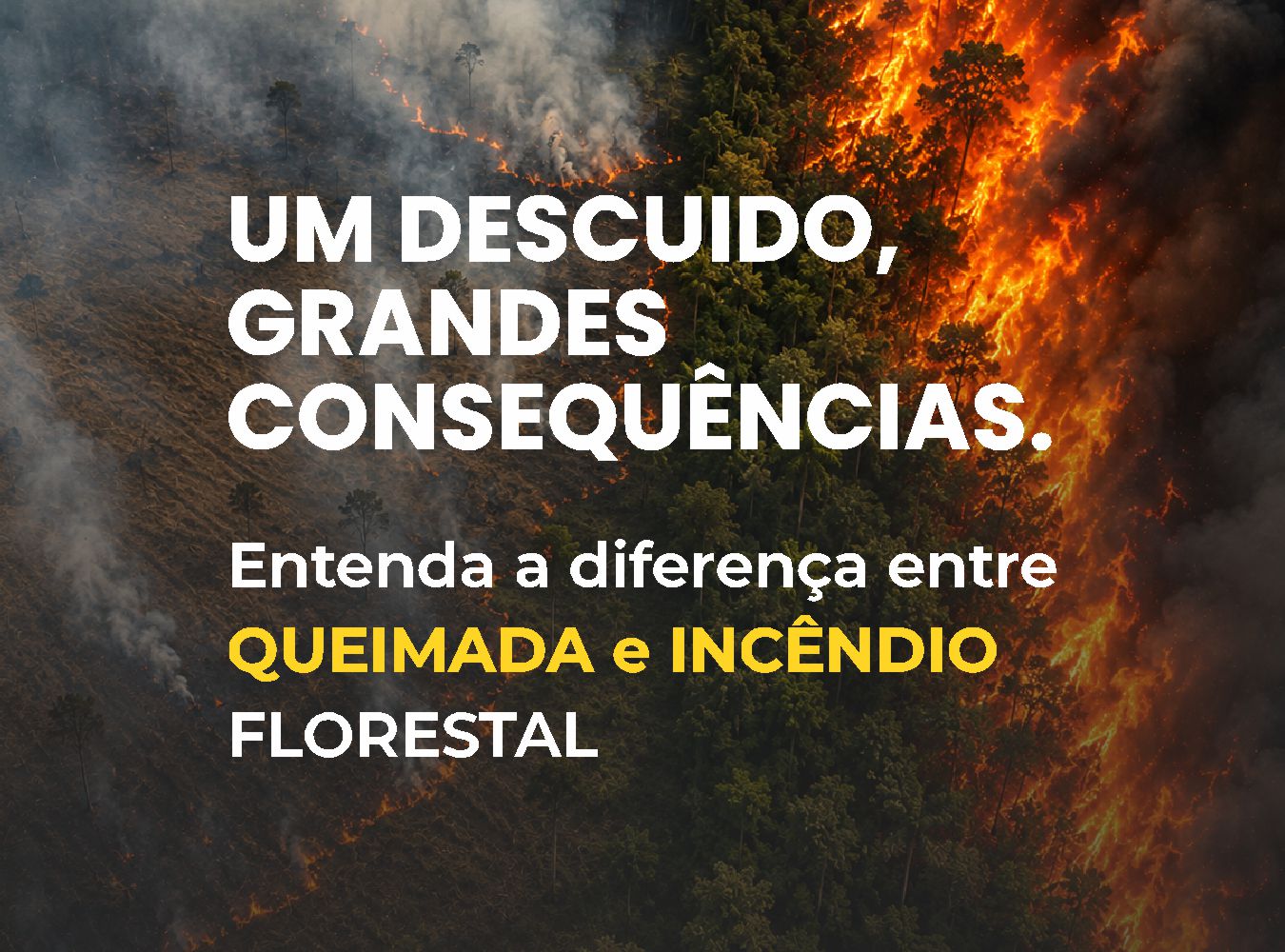 Sefac reforça campanha de prevenção a queimadas e incêndios florestais 05